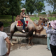 North Korea A Day At The Zoo